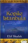 Kopile Istanbula - Elif Shafak, Mirna Čubranić