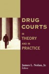 Drug Courts: In Theory and in Practice - James Nolan