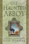 The Haunted Abbot (Sister Fidelma, #12) - Peter Tremayne