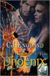 Don't Tempt The Phoenix (Don't Series, #2) - C.J. England