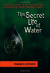 The Secret Life of Water - Masaru Emoto, David A. Thayne