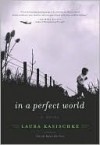 In a Perfect World - Laura Kasischke