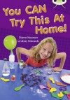 You Can Try This at Home Gold 2 - Diana Noonan