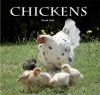 Chickens - Derek Hall