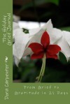 The Holiday Grief Journal: From Grief to Gratitude in 21 Days - Dora Carpenter, Christina Ferguson