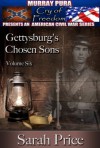 Gettysburg's Chosen Sons - Sarah Price