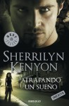 Atrapando un sueño (Cazadores Oscuros, #14) - Sherrilyn Kenyon