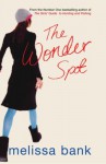 The Wonder Spot - Melissa Bank