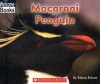 Macaroni Penguin - Edana Eckart