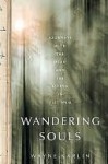 Wandering Souls - Wayne Karlin