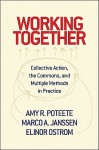 Working Together: Collective Action, the Commons, and Multiple Methods in Practice - Amy R. Poteete, Marco A. Janssen, Elinor Ostrom