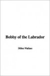 Bobby of the Labrador - Dillon Wallace