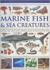 The Illustrated World Encyclopedia of Marine Fishes & Sea Creatures: A Natural History and Identification Guide to the Animal Life of the Deep Oceans, Open Seas, Reefs, Shallow Waters, Saltwater Estuaries, and Shorelines of the World - Amy-Jane Beer