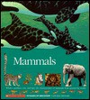 Mammals: Whales, Panthers, Rats, and Bats: The Characteristics of Mammals from Around the World - Gallimard Jeunesse