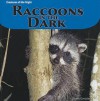 Raccoons In The Dark (Creatures Of The Night) - Doreen Gonzales