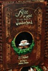 Alice in Verse: The Lost Rhymes of Wonderland - J.T. Holden, Andrew Johnson