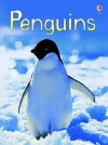 Penguins (Usborne Beginners) - Emily Bone