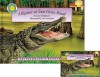 Alligator at Saw Grass Road [With Cassette] - Janet Halfman, Janet Halfmann