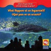 What Happens at an Aquarium?/Que Pasa En Un Acuario? - Barbara Bakowski