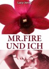 Mr. Fire und ich, Band 5 (German Edition) - Lucy Jones