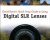 David Busch's Quick Snap Guide to Using Digital SLR Lenses - David D. Busch