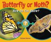 Butterfly or Moth?: How Do You Know? - Melissa Stewart