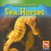 Sea Horses (Animals That Live in the Ocean) - Valerie J. Weber