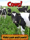 Cows! Learn About Cows and Enjoy Colorful Pictures - Look and Learn! (50+ Photos of Cows) - Becky Wolff