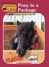 Pony in a Package - Ben M. Baglio