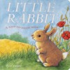 Little Rabbit: A Soft-To-Touch Book - Piers Harper