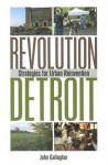 Revolution Detroit: Strategies for Urban Reinvention (Painted Turtle) - John Gallagher