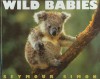 Wild Babies - Seymour Simon