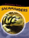 Salamanders - Clare Hibbert