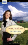 Under the Big Sky: Love Spans Three Generations of Settlers - Kelly Eileen Hake