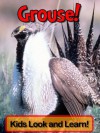 Grouse! Learn About Grouse and Enjoy Colorful Pictures - Look and Learn! (50+ Photos of Grouse) - Becky Wolff