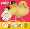 Bright Baby Touch, Feel and Listen: Duckling - Roger Priddy