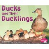Ducks and Their Ducklings - Margaret C. Hall, Gail Saunders-Smith, Tirath Sandhu