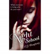 Night School (Night School #1) - C.J. Daugherty