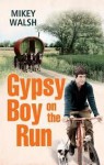 Gypsy Boy on the Run - Mikey Walsh