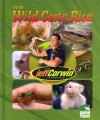 Into Wild Costa Rica - Jeff Corwin