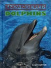 Dolphins - Casey Horton