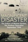 Magnificent Disaster - David Bennett