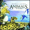 Animals of the Bible - Mary Hoffman