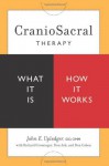 CranioSacral Therapy: What It Is, How It Works - John E. Upledger, Donald Ash, Richard Grossinger, Don Cohen