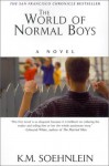 The World Of Normal Boys - K.M. Soehnlein