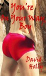 You're on Your Way, Boy - David Holly