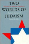 Two Worlds of Judaism: The Israeli and American Experiences - Charles S. Liebman, Steven M. Cohen