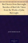 Bird Stories from Burroughs Sketches of Bird Life Taken from the Works of John Burroughs - John Burroughs, Louis Agassiz Fuertes