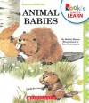 Animal Babies - Bobbie Hamsa, Tom Dunnington