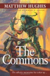 The Commons - Matthew Hughes